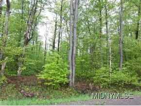132 W Fiery Hl Rd  