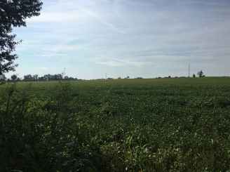 Scottsville Road I 65 N  