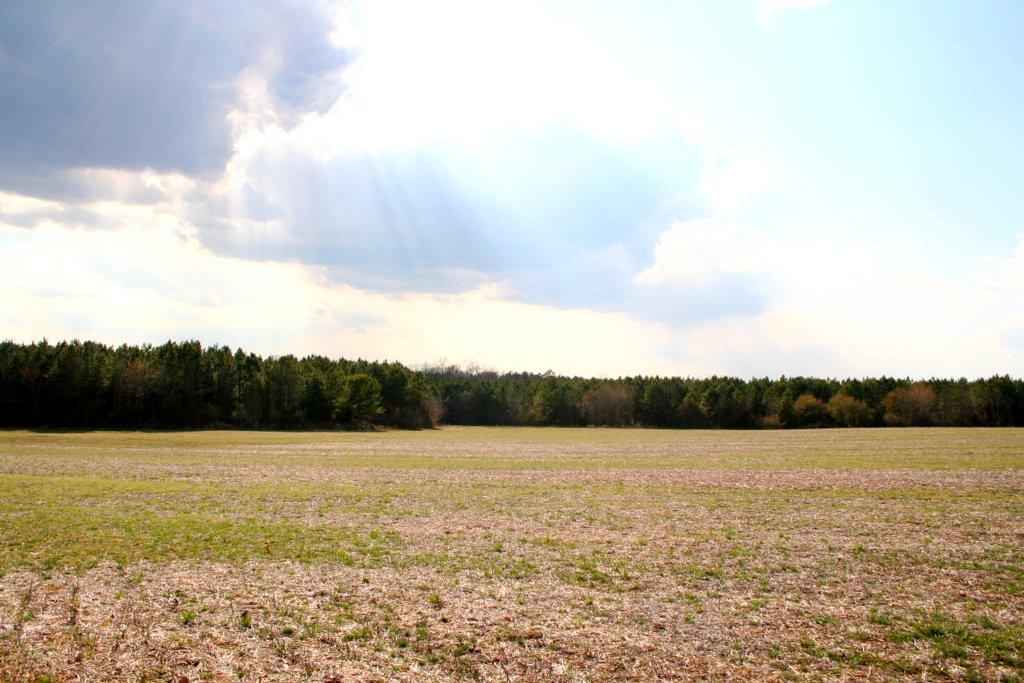 0 Mt Olive Cohoke Rd  