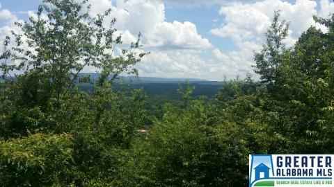 0 Mountain Brow Dr  