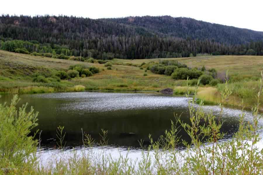 TBD County Rd 134  