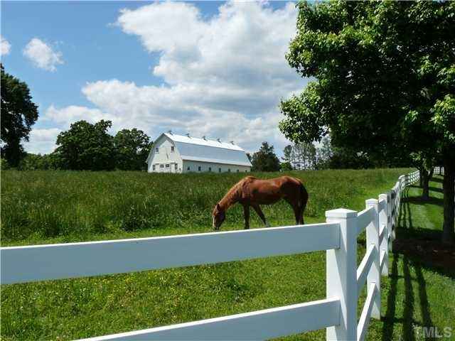 13317 Quarterhorse Run  