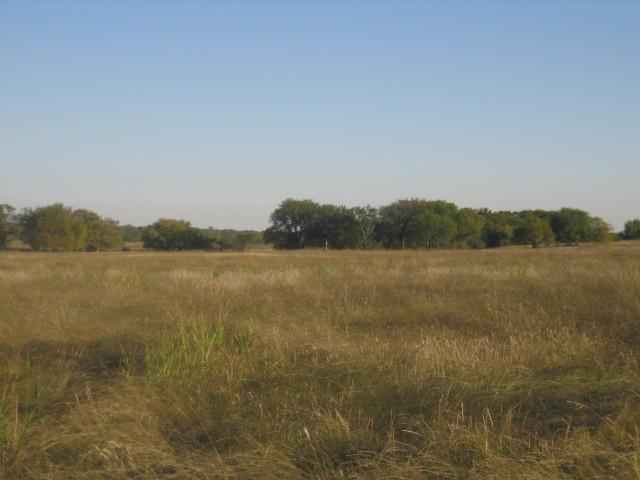 TBD CR 336  