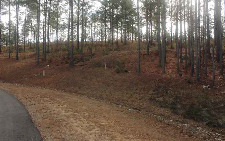 L-350 COVETHIRTEENHUNDRED  