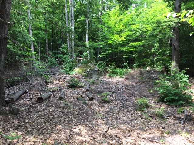 20 Sagamore Rd  