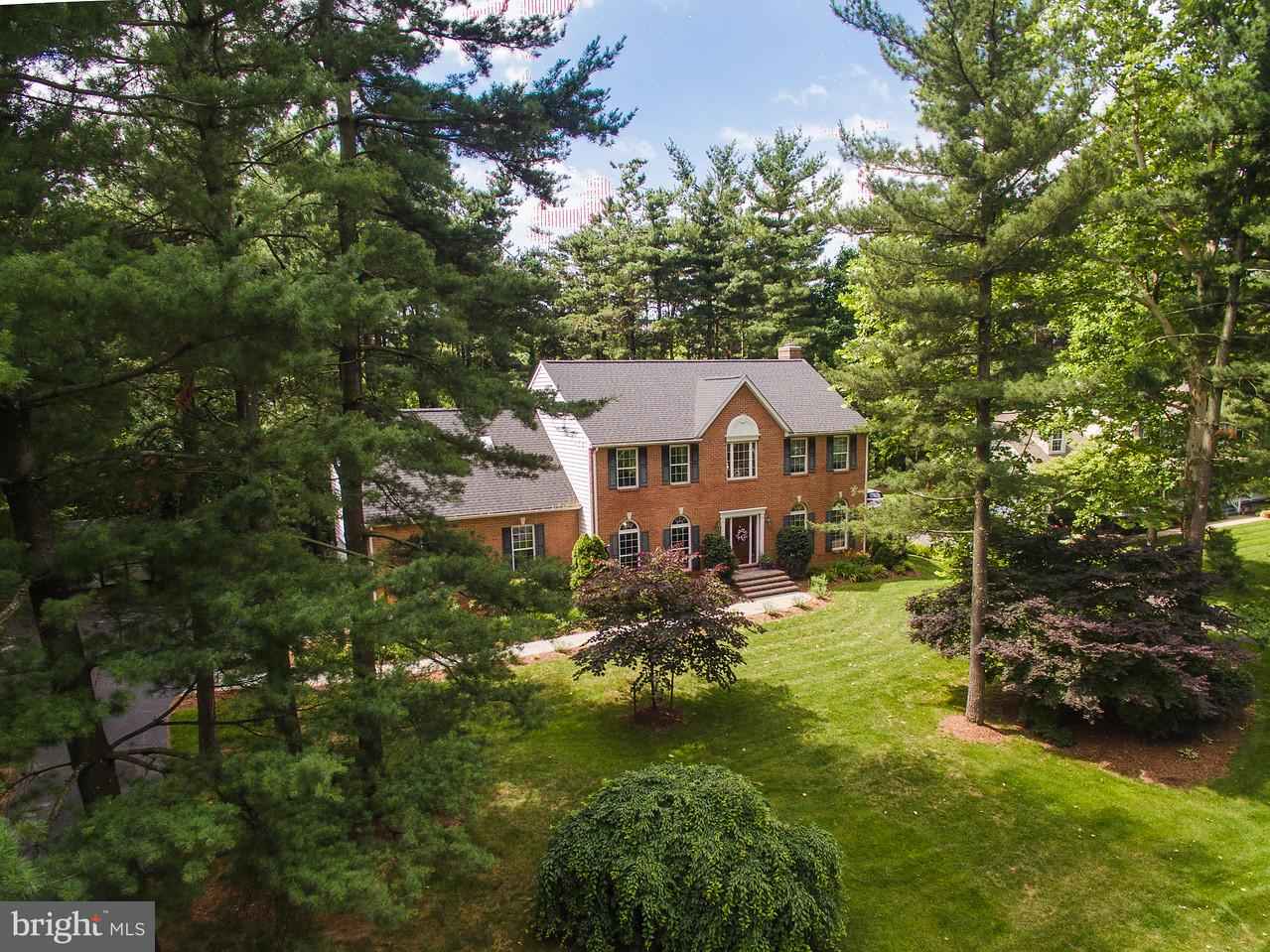 605 SCARLET OAK Ct  