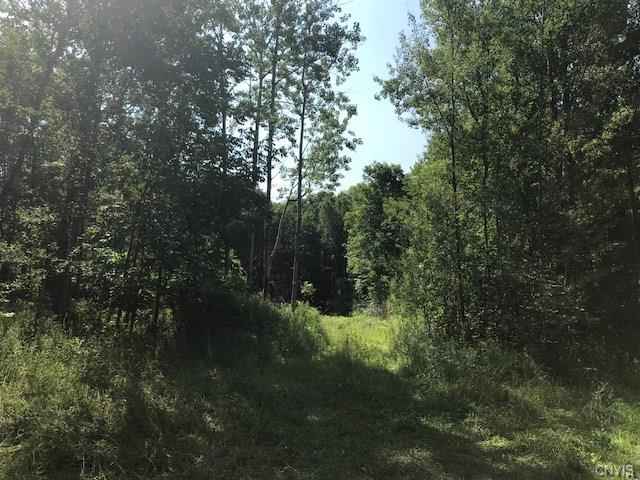 00 Seber Shrs Rd  