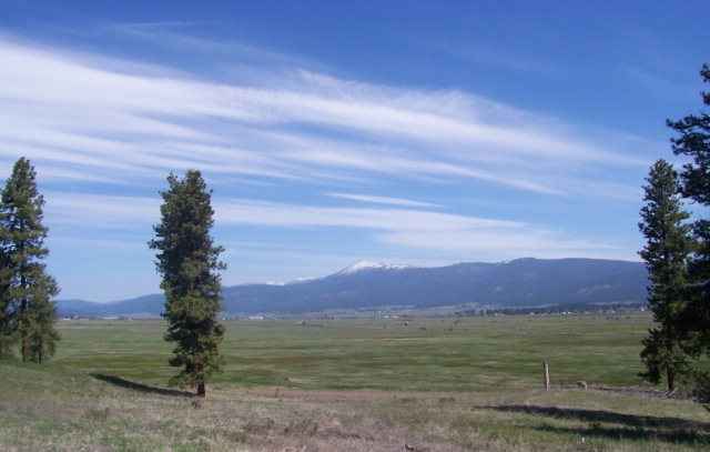 Lot 24 Timber Rdg Dr  