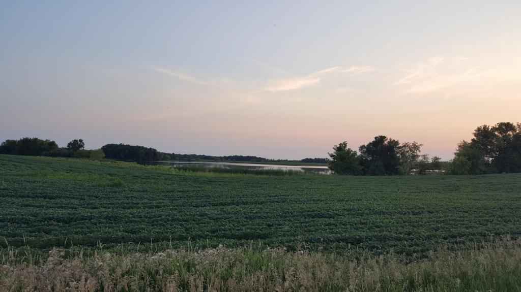 25535 Territorial Rd  