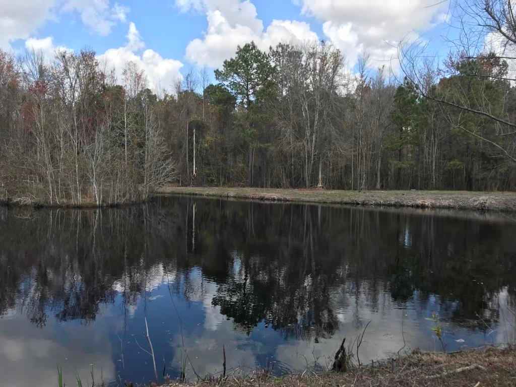 3600 Red Oak Rd  