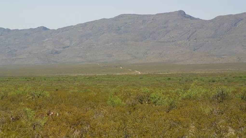 Est side of FM1111  