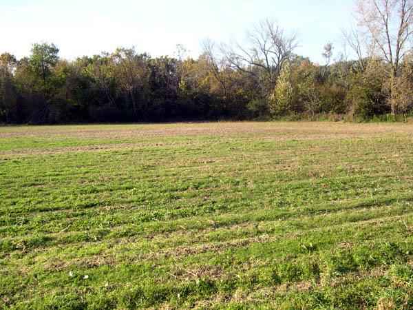 1355 N Avenue 2345 E St  