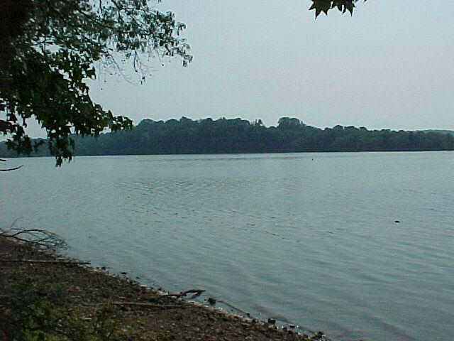 LOT Unit 80 KELSEY JO Ln  
