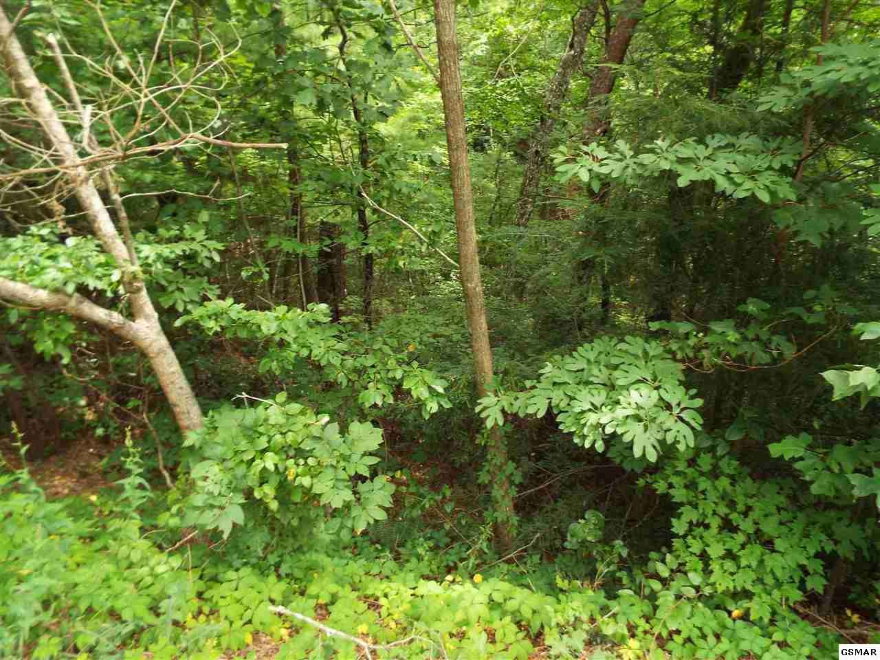 Lot 111 Buck Board Ln  
