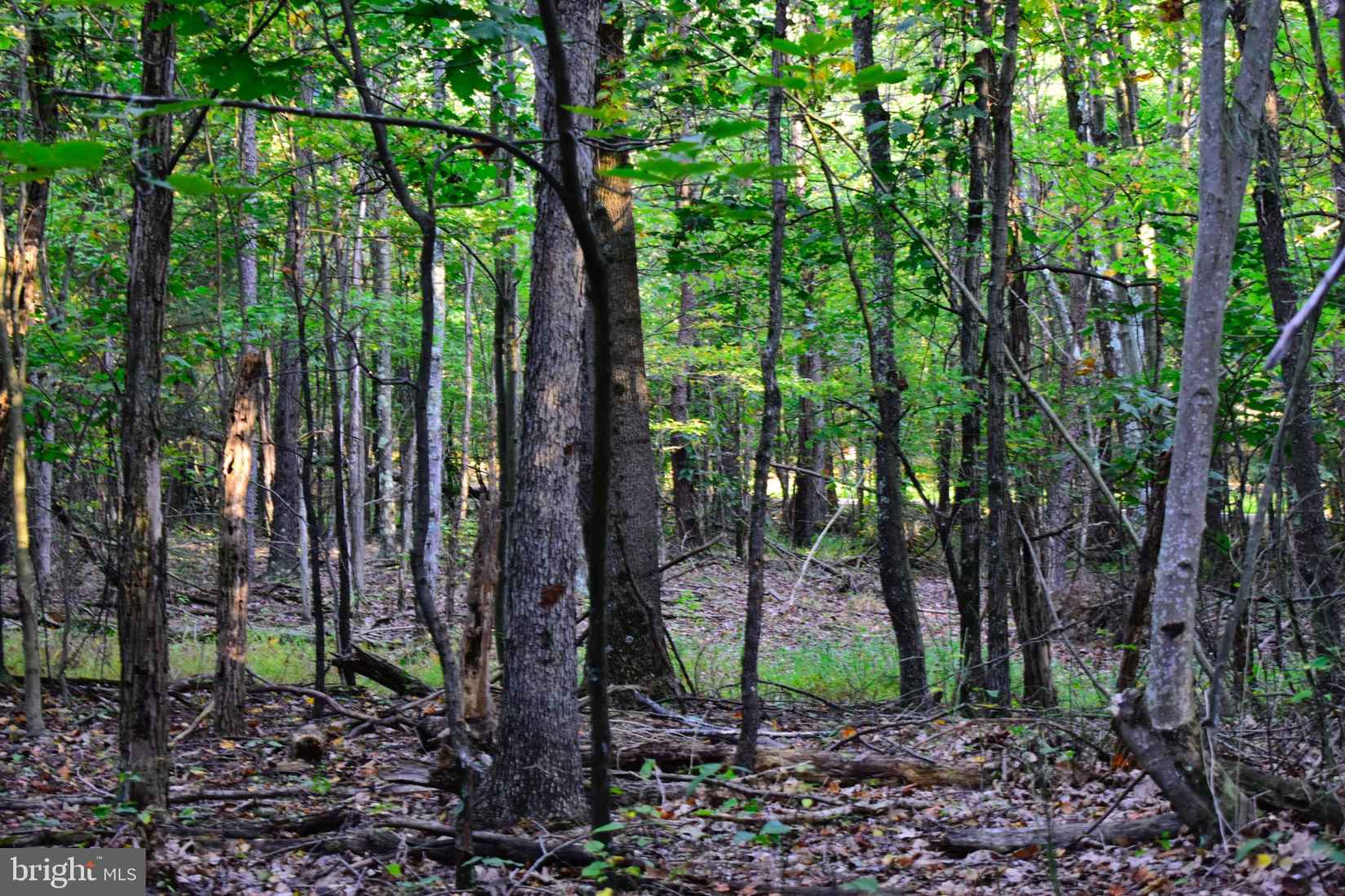 Lot 4 SMOKEY SHIRE LN  