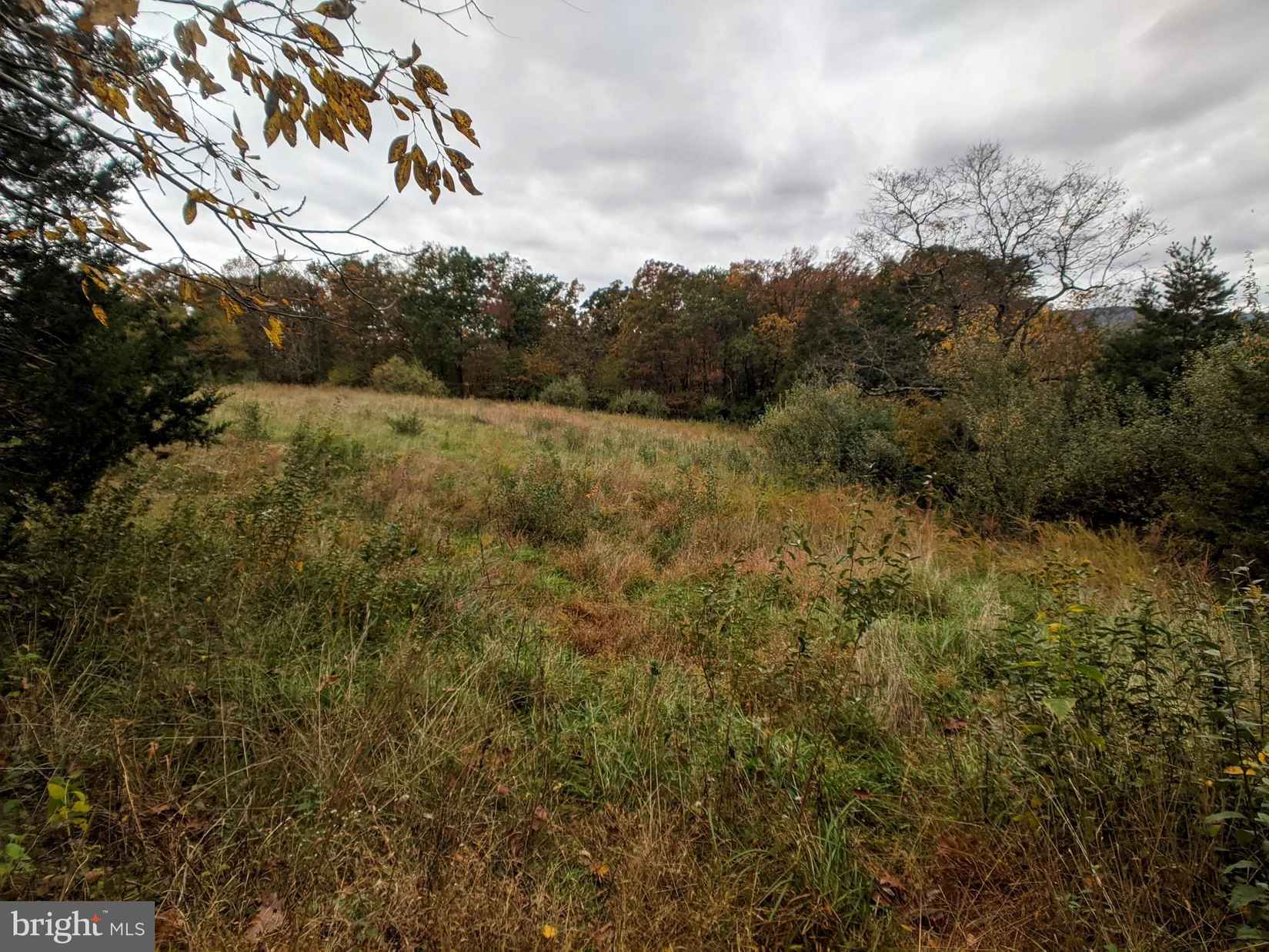 Lot 4 MARTIN Rd  