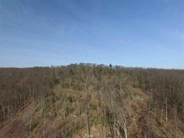 0 Wilbraham Rd  