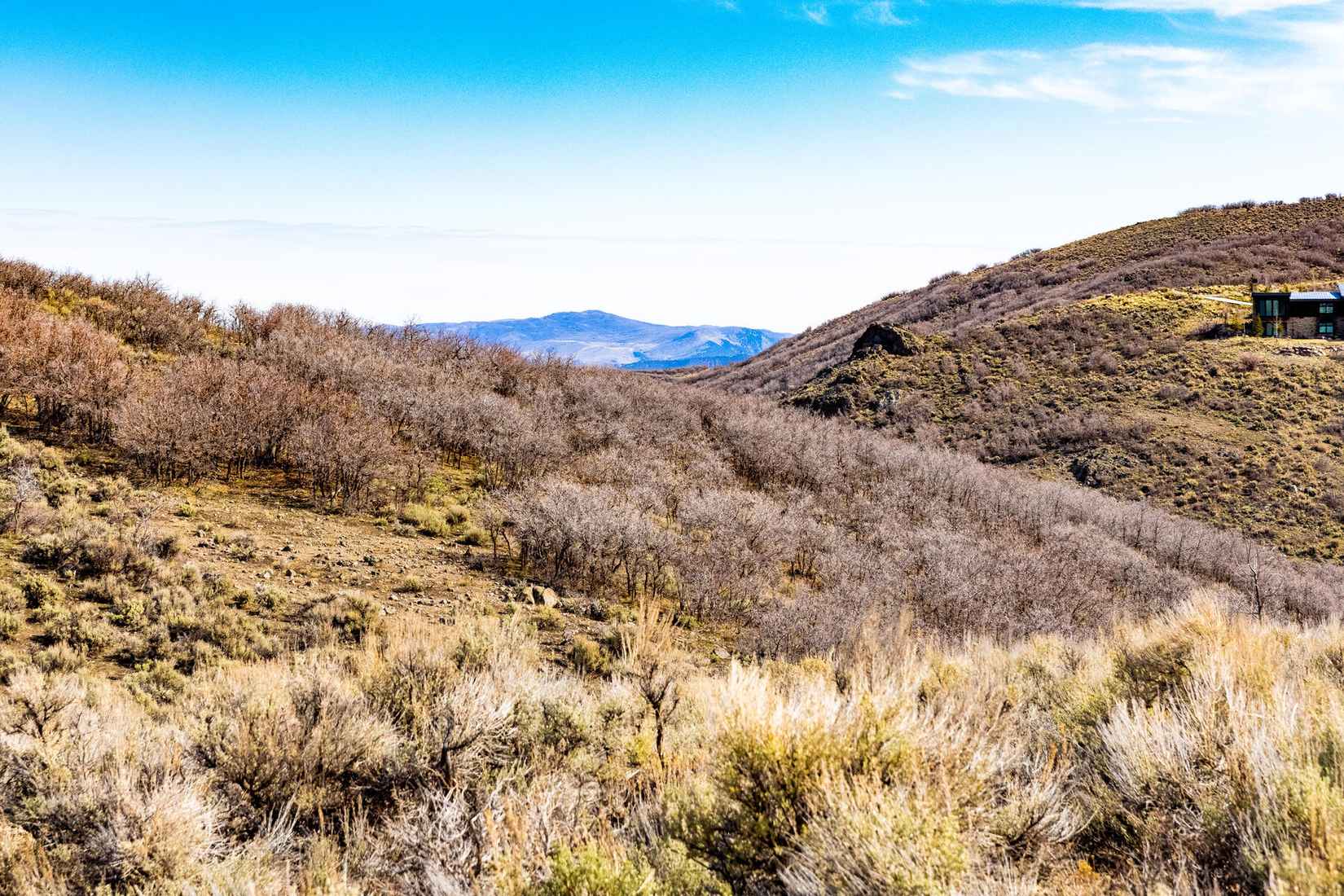 9869 N Hidden Hill Loop Lot 2  