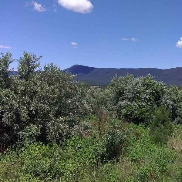 US Highway 340 North  