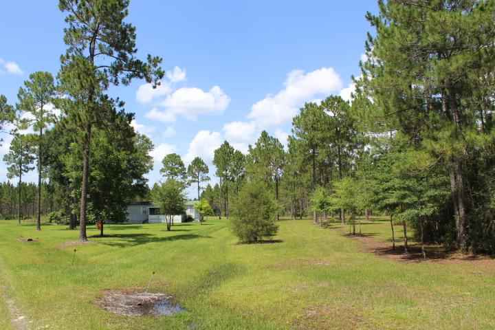 15871 Moccasin Crk Cir  