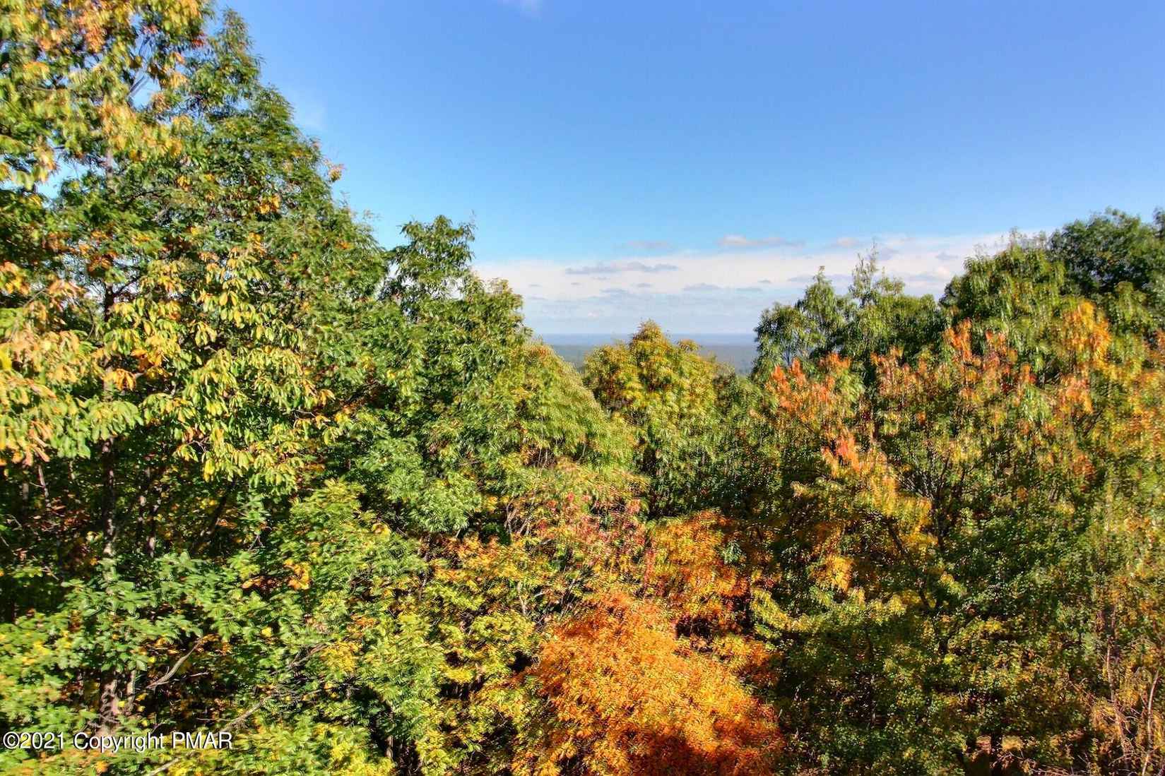 296 Overlook Way  