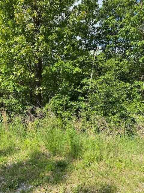 Lot 24 Stoneleigh Dr  