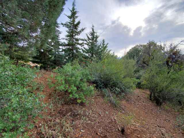 3116 Swanlake Cir  