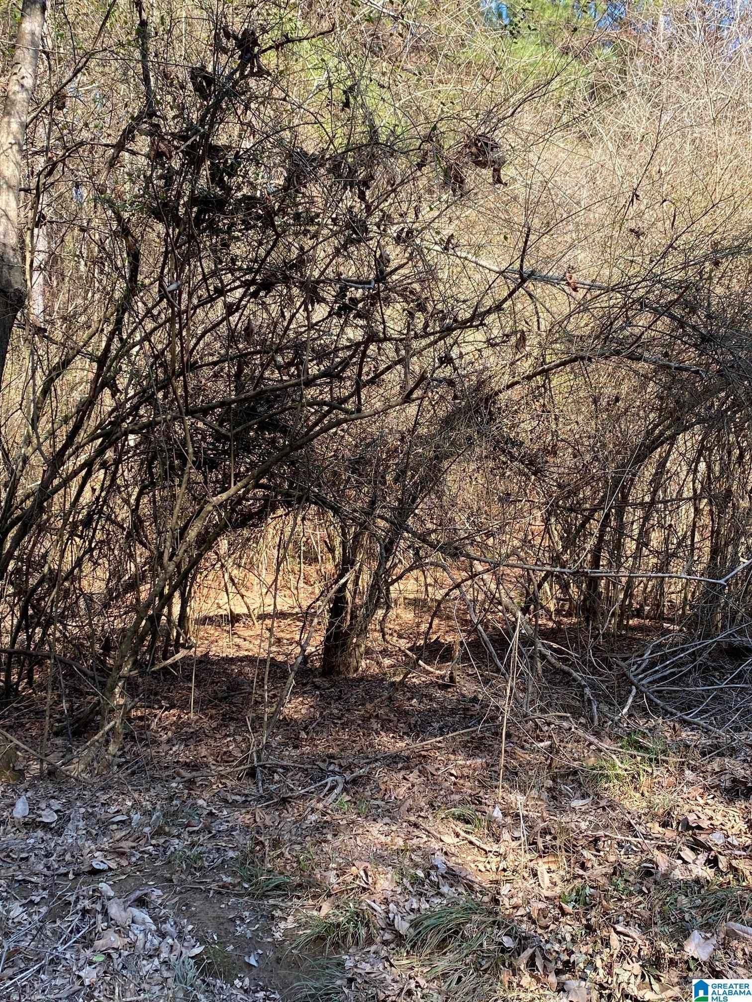 0 CRESTWOOD Rd  