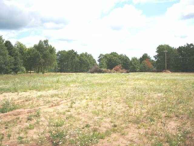 2 42 Acres Byfield  