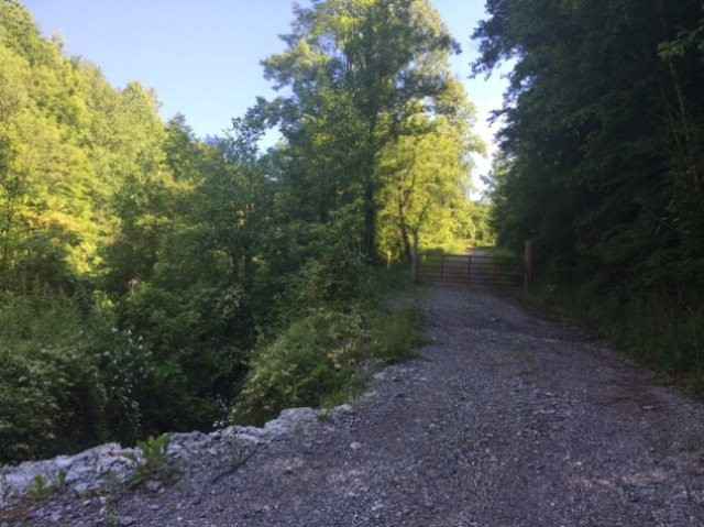 0 Left Fork Walters Rd  