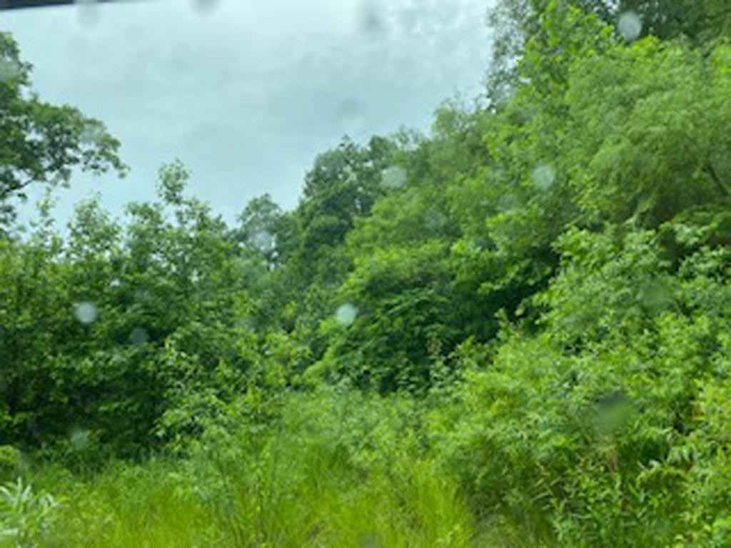 00 Jennys Fork Lot 1 Map 048-00-00-008 00  