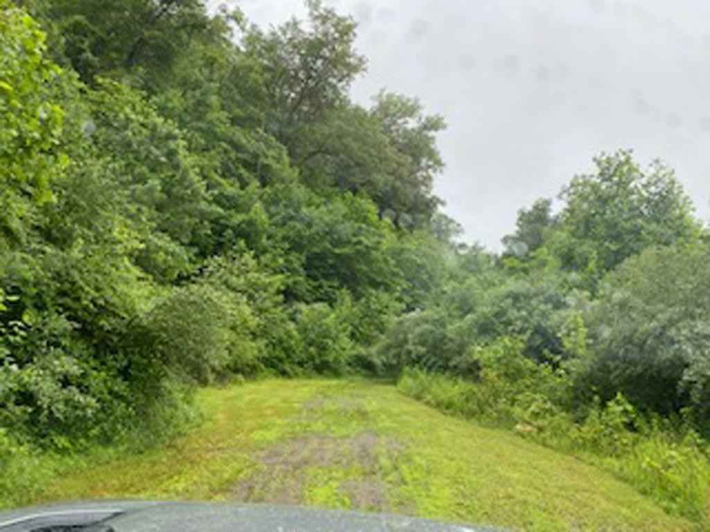 00 Jennys Fork Lot 5 Map 048-00-00-008 00  