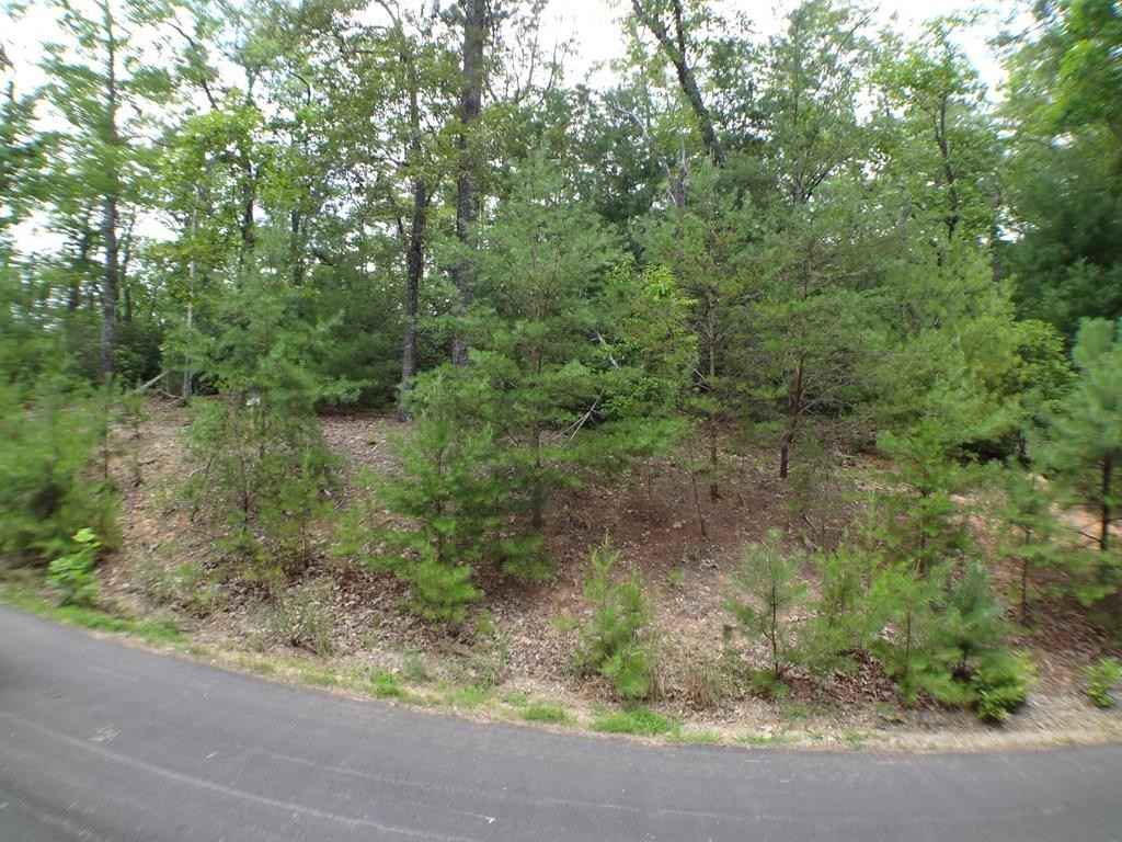 Lot Unit 40 Porter Crk Rd  