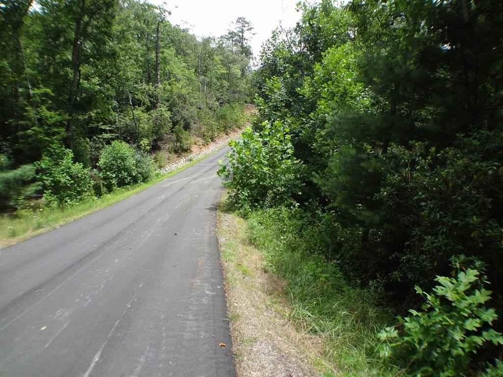 Lot Unit 41 Porter Crk Rd  