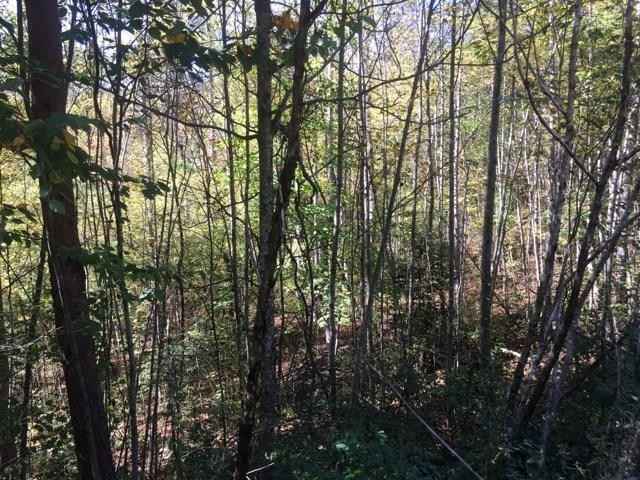 21 Sunshine Acres  