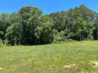 1202 Highway 54 East  