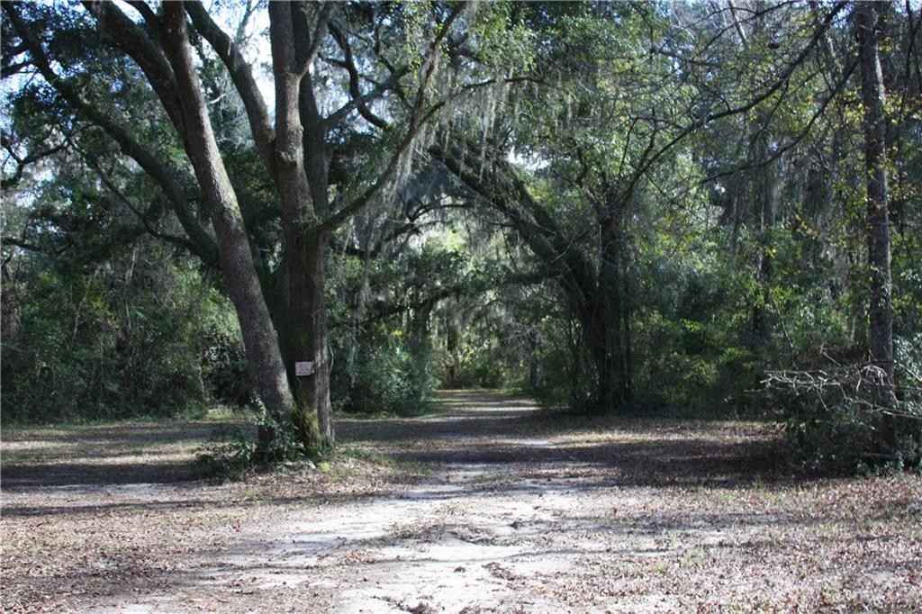 0 Joseph Wiggins/Mineral Springs Rd Rd  