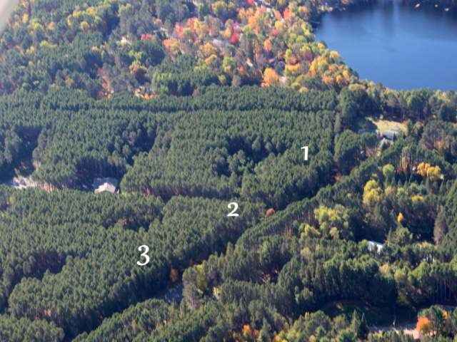 Lot 3 OLD HWY 51  