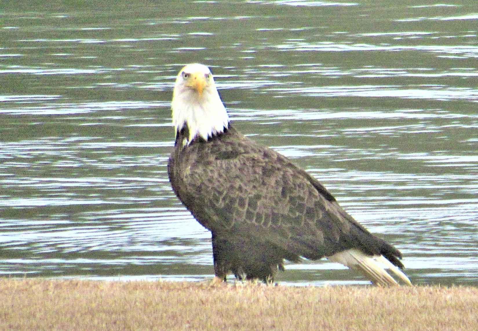 0 Prairie Waters Drive (Lot 4)  