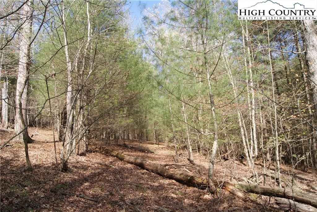 Tract 3 Lake Vly Dr  