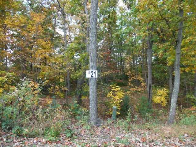 Lot 21 Raystown Reach  