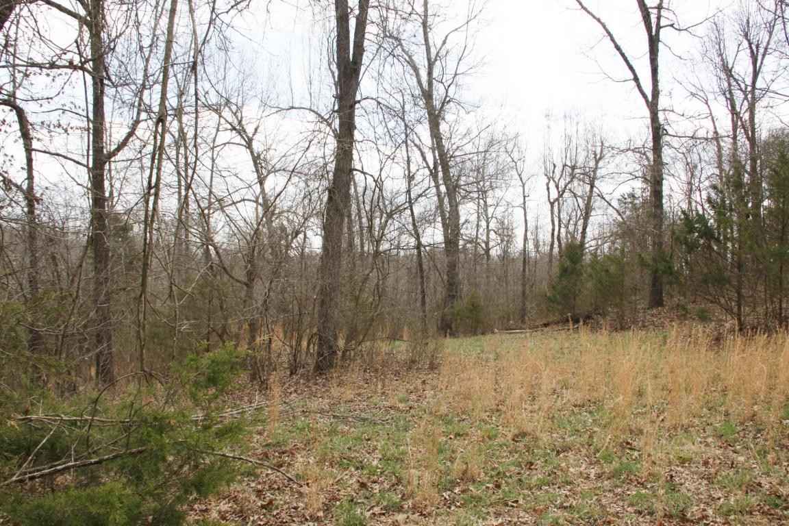 Lot 24 Dogwood Dr  