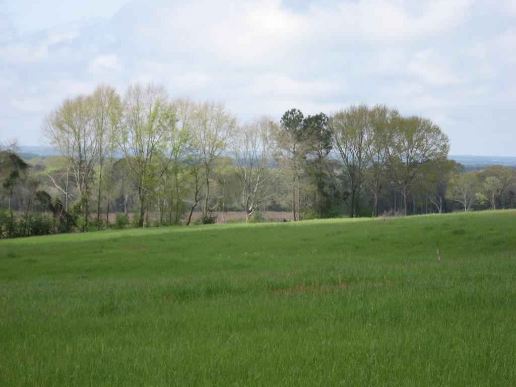 LOT 6 HWY 29N  