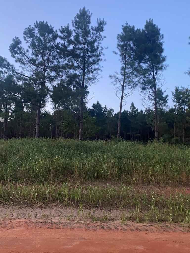 Lot 14 White Elk Ln  