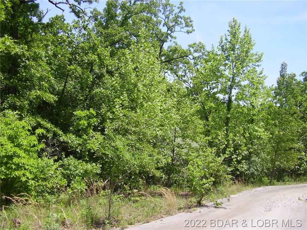 20 Silver Spur Ct  