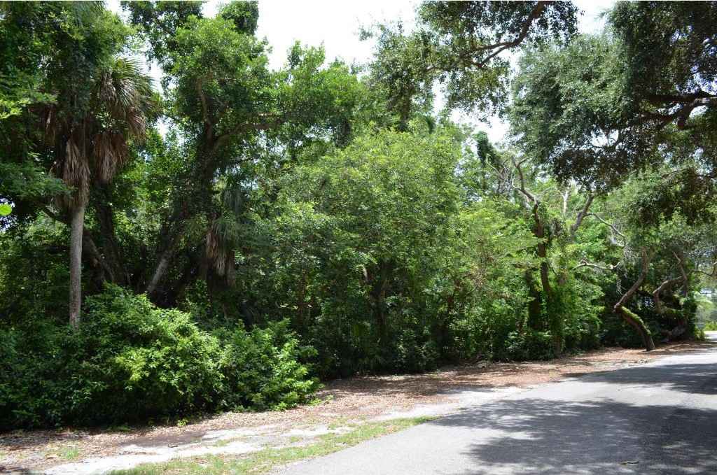 377 MORNING GLORY Ln  