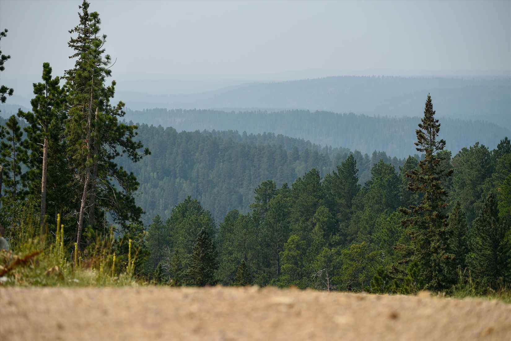 Lot 14 Block 10 Gold Pan Trl  