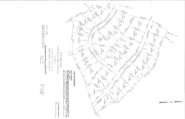 Lot 32 Country Squire  