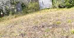419 STATE RD 207  