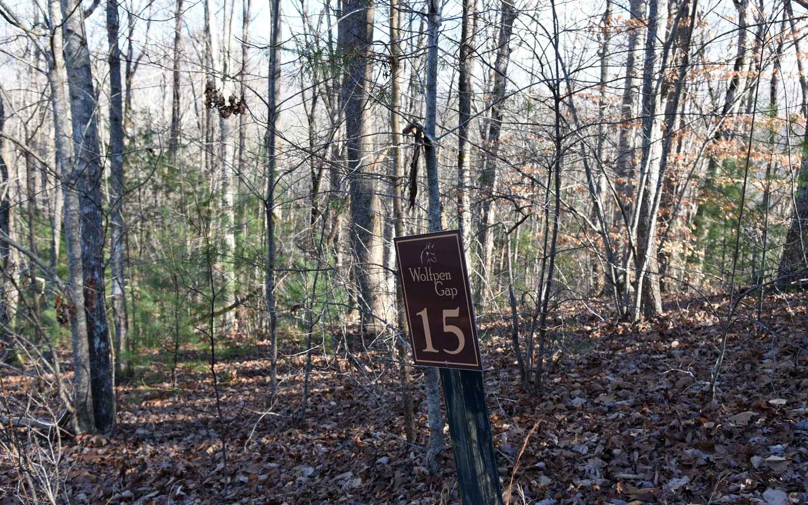 Lt 15 Wolfpen Gap Ct  